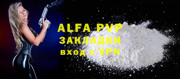 mdpv Бородино