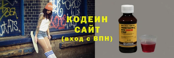 mdpv Бородино