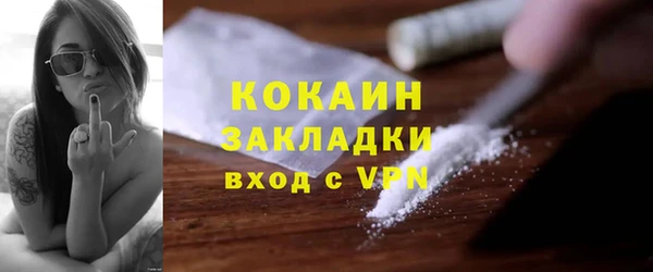 молекула духа Бронницы