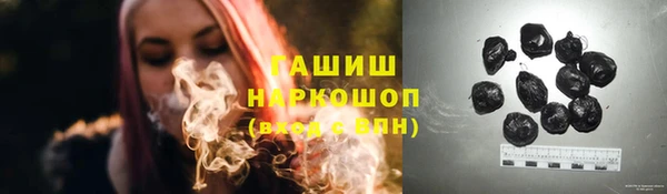 mdpv Бородино