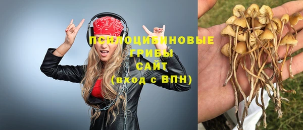 молекула духа Бронницы