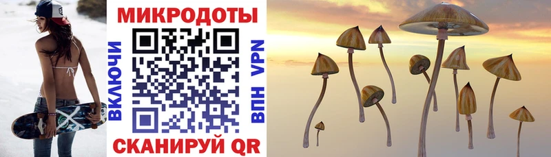 Псилоцибиновые грибы Cubensis  дарнет шоп  Верхняя Пышма 